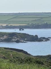 Looking down towards Thurlestone
